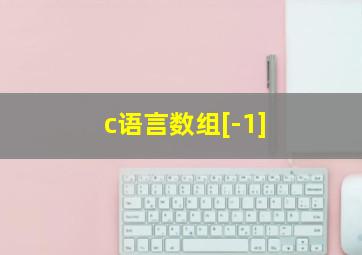 c语言数组[-1]